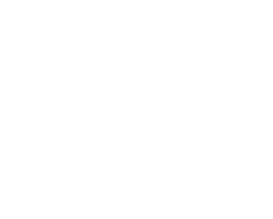 Asistencia Tecnica